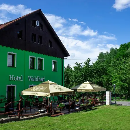 Hotel Waldhof 3*
