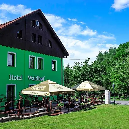 Hotel Waldhof 3*