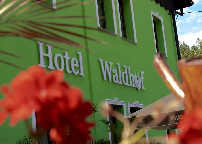 Waldhof